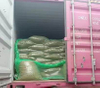 Puerto De Carga Y Descarga Con Revestimiento Para Graneles Secos De Material PE