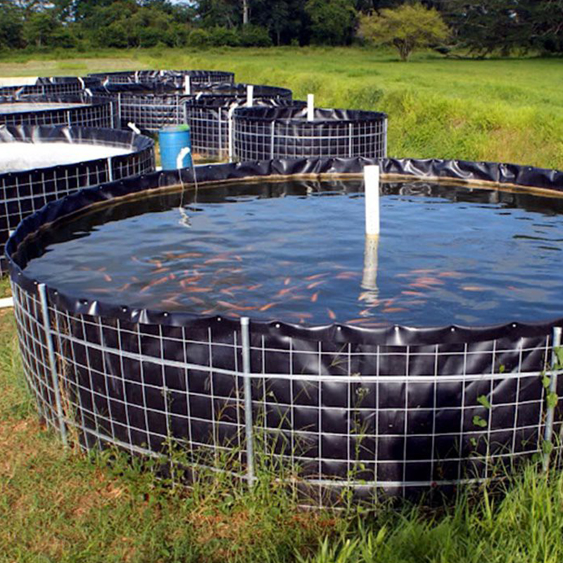 Tanques De Peces De Acuicultura Plegables Color Azul