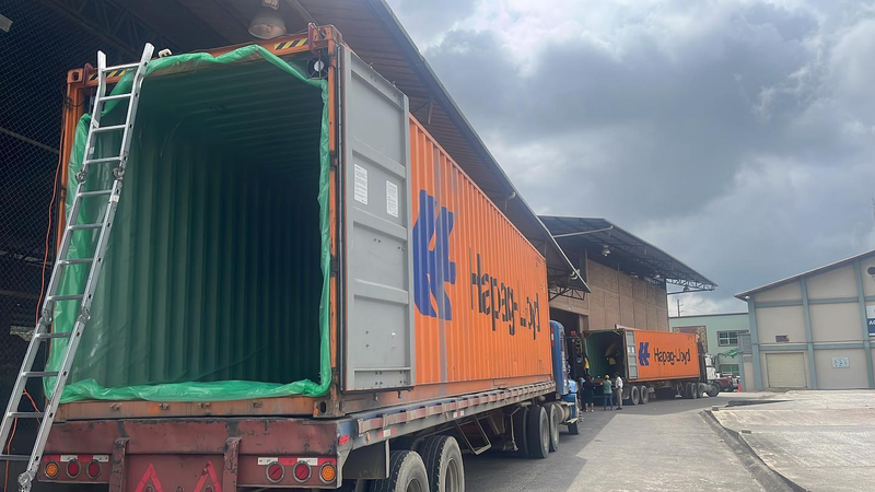 Revestimiento para contenedor de PE de grado industrial de 20 pies para transporte de fertilizantes.