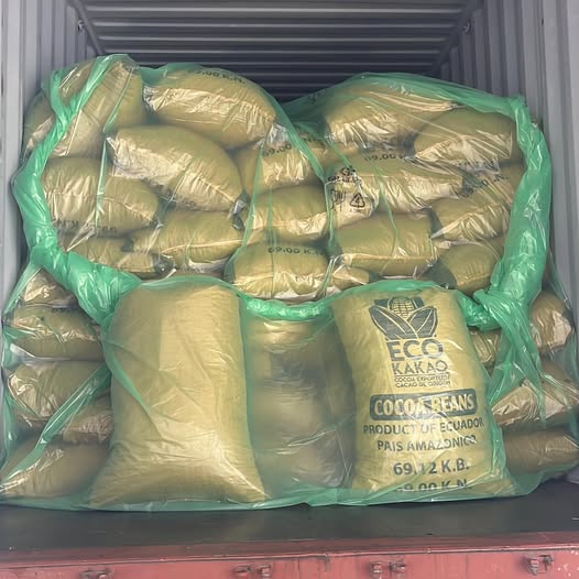 Revestimientos A Granel Para Contenedores De 20 Pies Con Manguito Y Película De PE De Mayor Espesor, Para Leche En Polvo A Granel.