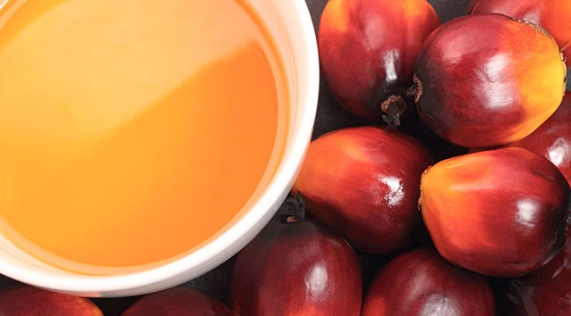 Ocean Blue Whale Realiza Con Éxito El Envío De Aceite De Palma Malasio Utilizando Un Sistema De Flexitanque Aislado Con Almohadillas Calefactoras Integradas